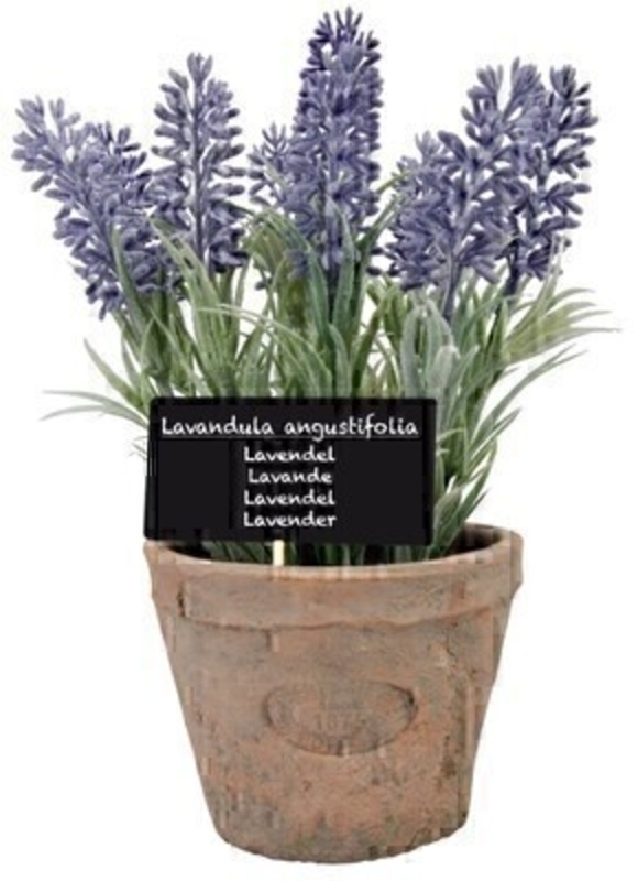 Artificial lavender plant with wooden plant label with the name of the herb (in Latin Dutch French German and English) in aged terracotta pot. Needs no watering! Size: 18.4 x 11.5 x 22.8cm